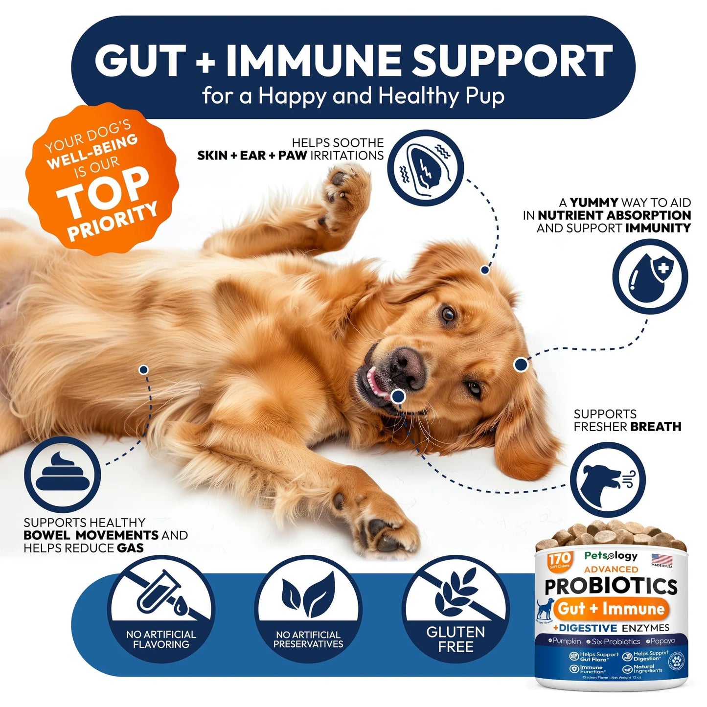 Probiotics for Dogs