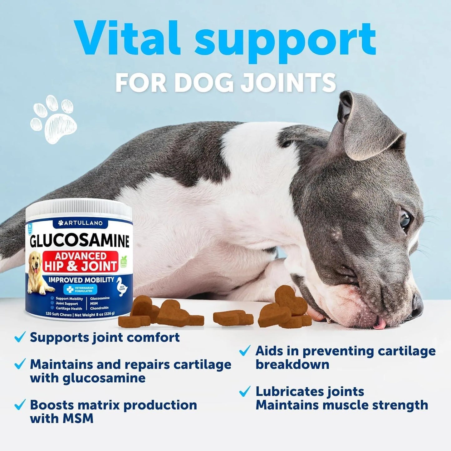 Glucosamine for Dogs Hip and Joint Supplement