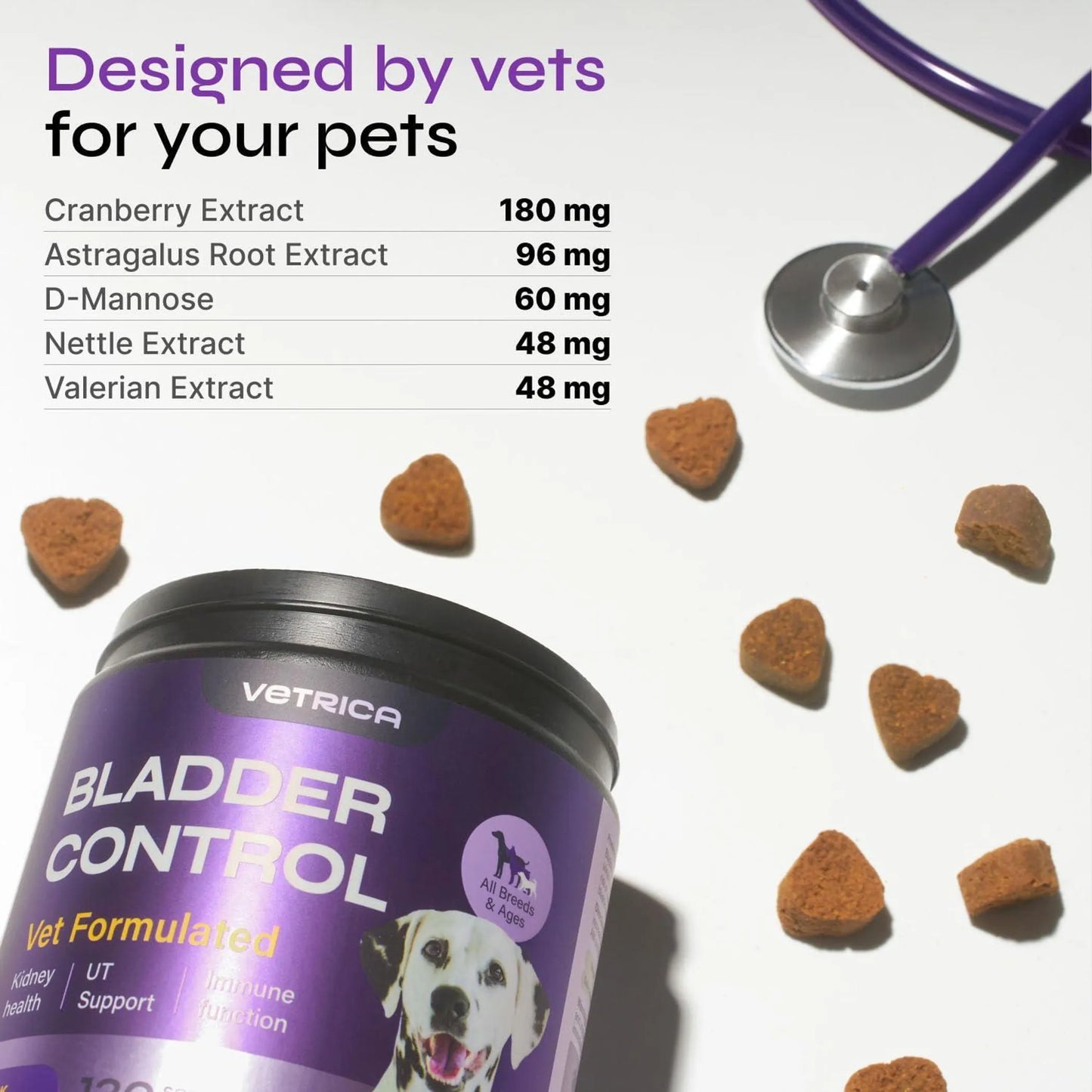 Dog UTI Treatment