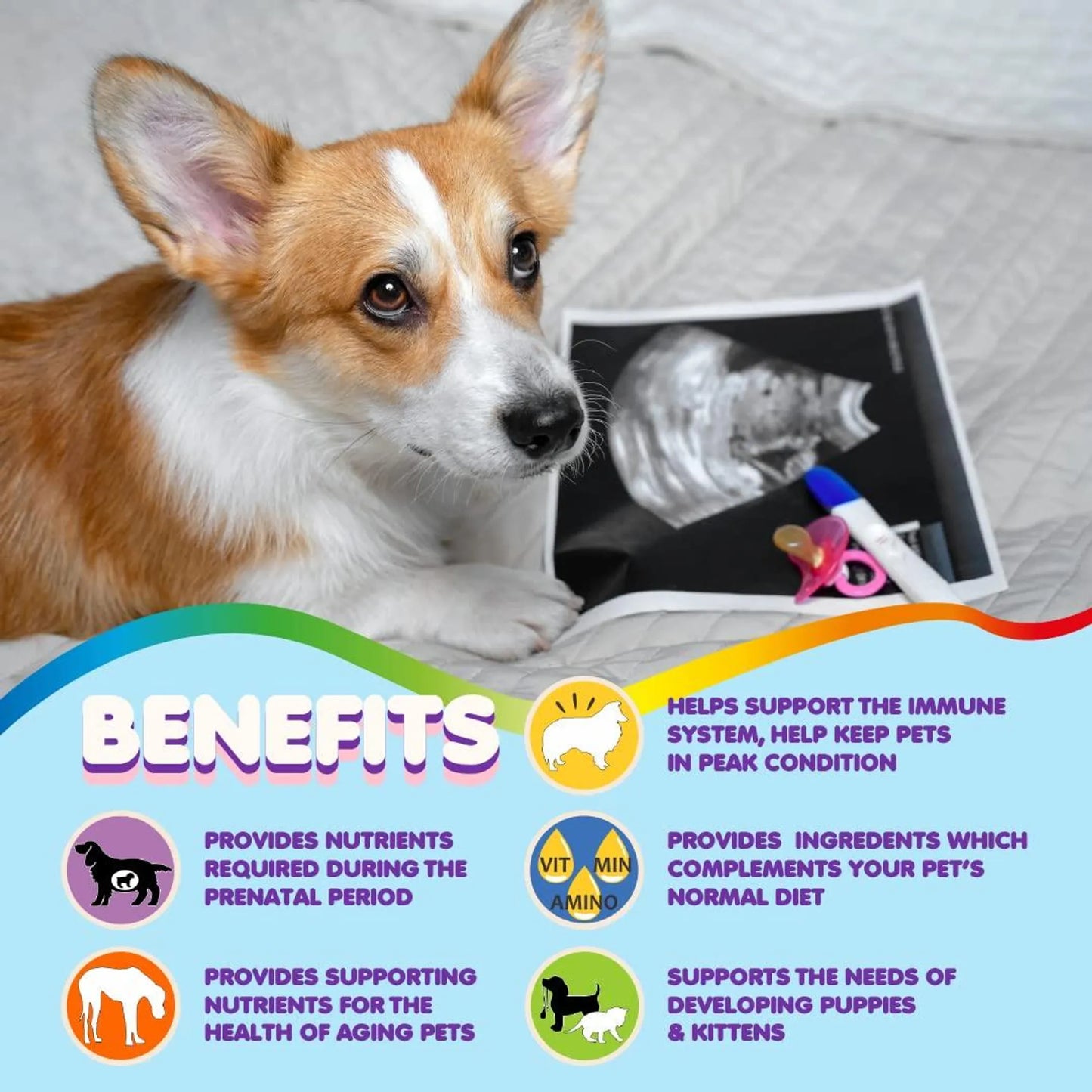 Prenatal Dog Vitamins