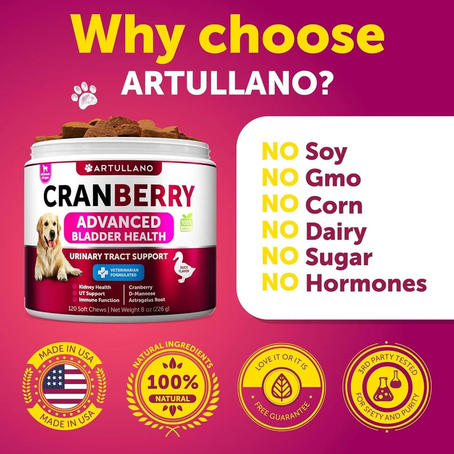Dog UTI Treatment