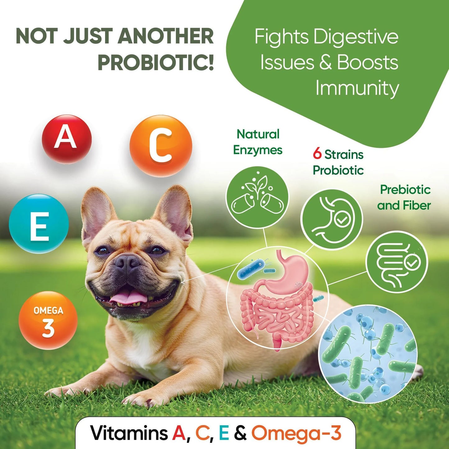 Probiotics for Dogs Digestive Enzymes Gut Flora Digestive Health Immune System Diarrhea Support Itchy Skin Allergies Pumpkin Flaxseed Meal Papaya Powd